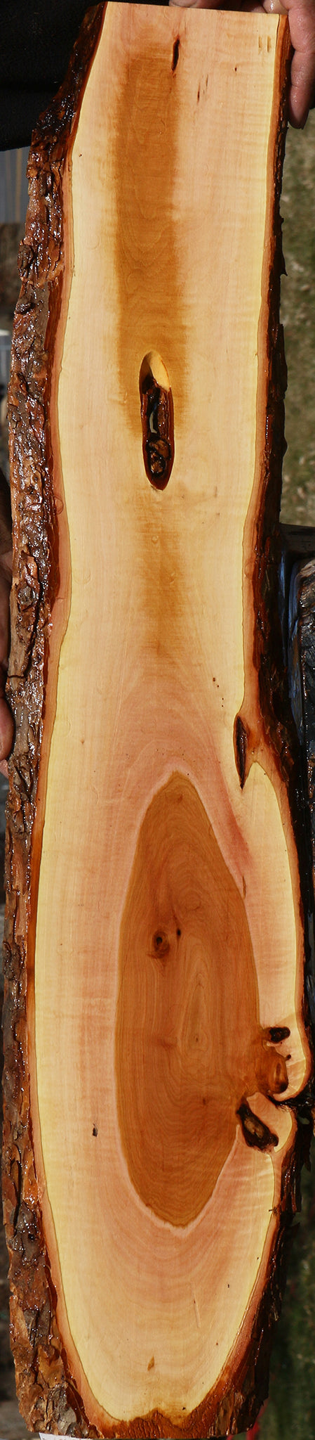 Extra Fancy Oregon Ironwood Live Edge Lumber