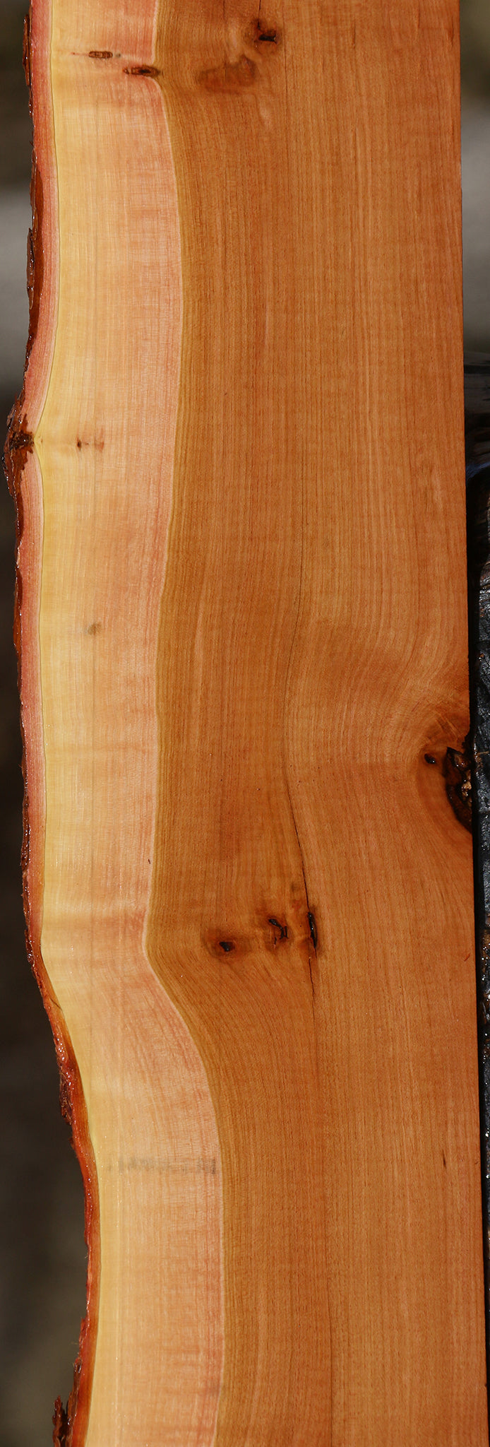 Figured Oregon Ironwood Live Edge Lumber