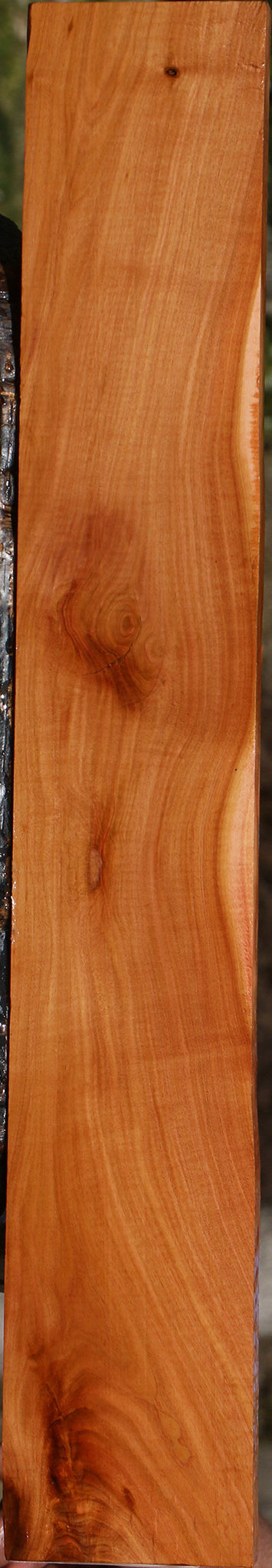 Figured Oregon Ironwood Micro Lumber