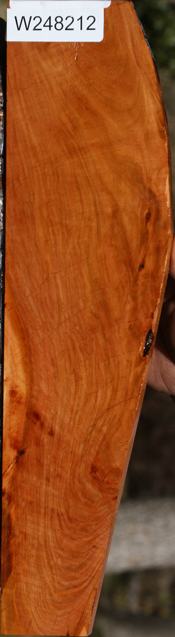 Oregon Ironwood Micro Lumber