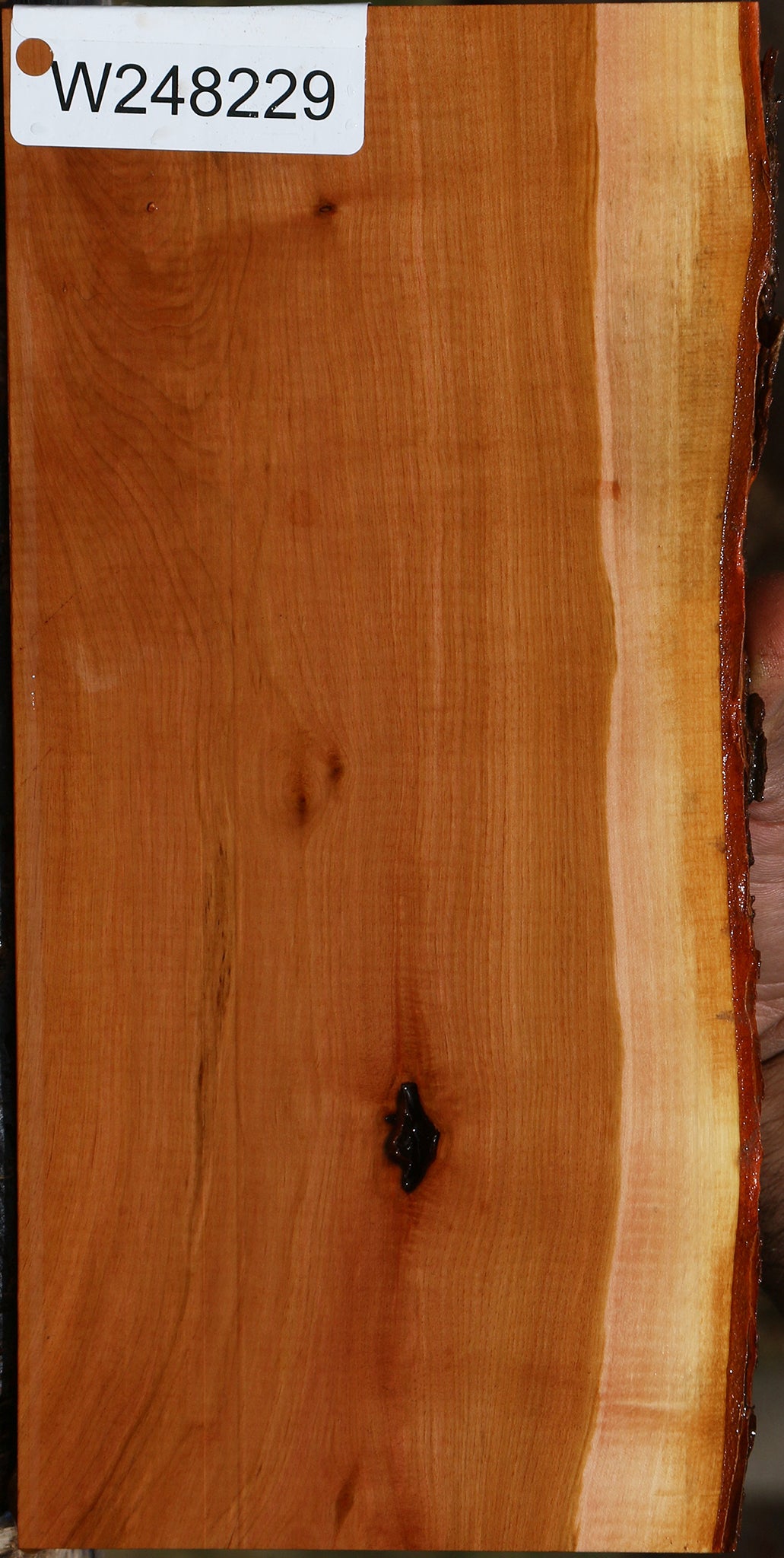 Oregon Ironwood Live Edge Lumber