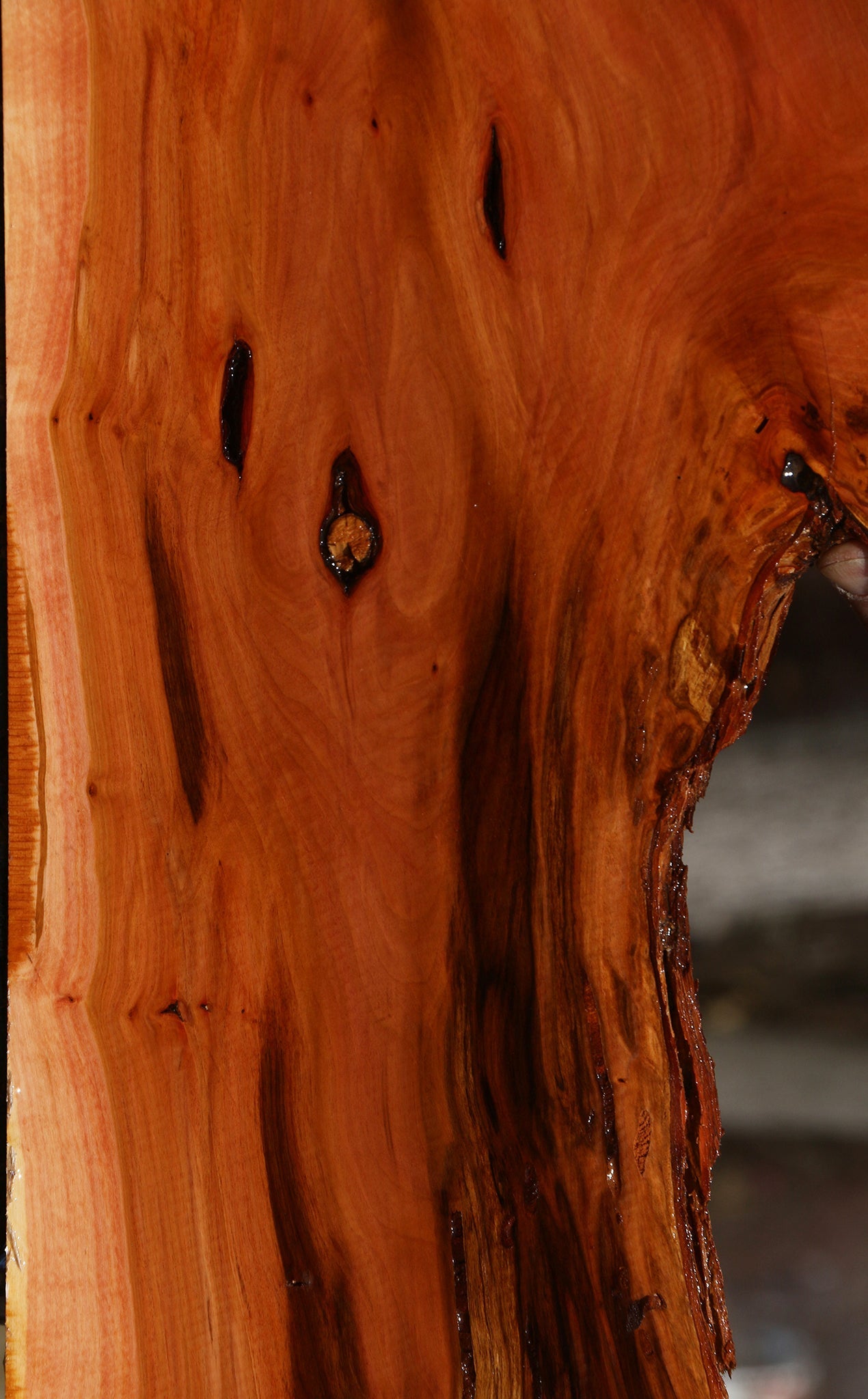 Oregon Ironwood Live Edge Lumber