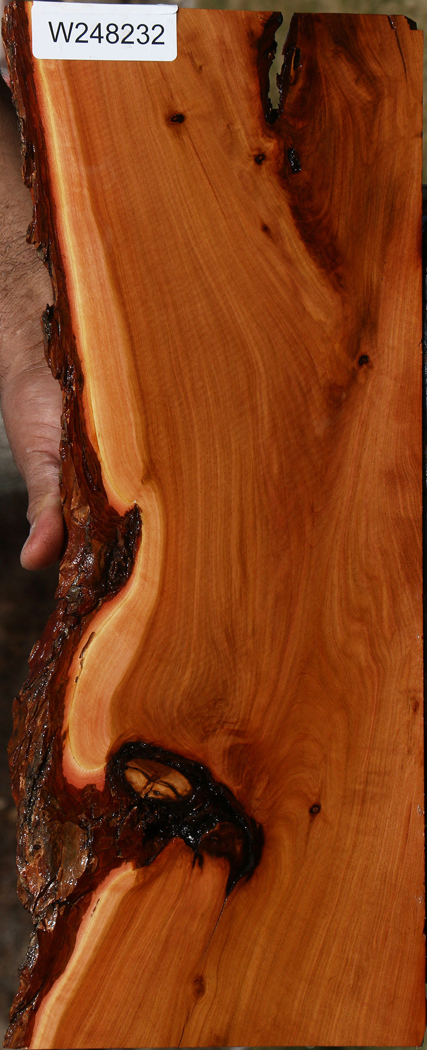 Rustic Oregon Ironwood Live Edge Micro Lumber