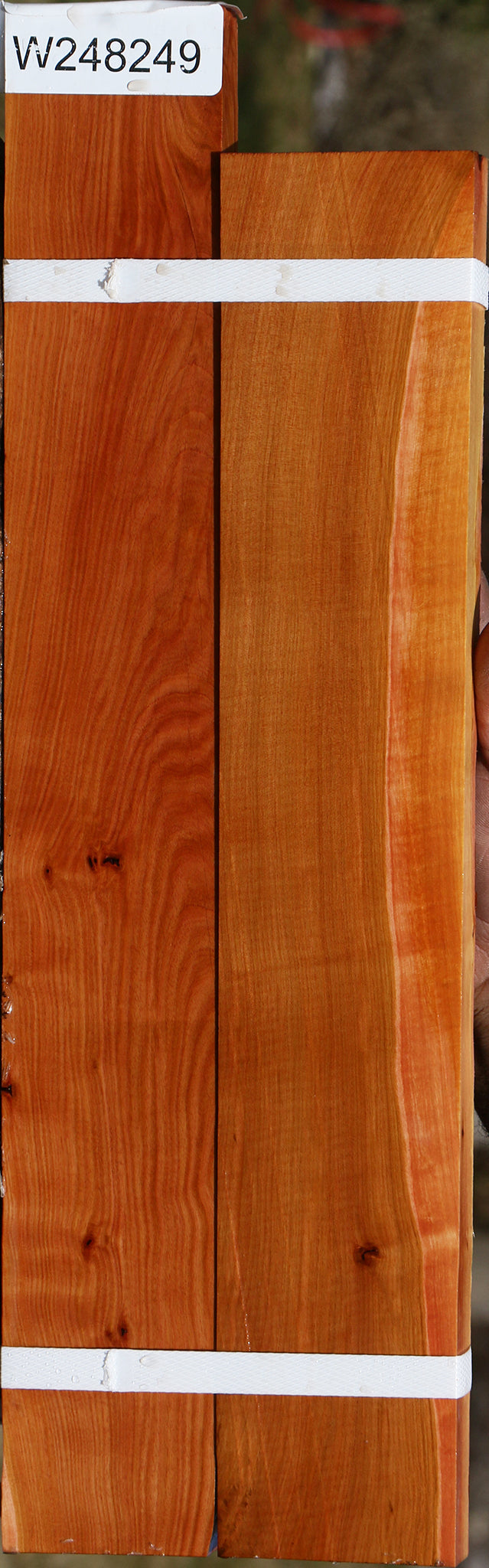 Oregon Ironwood Lumber 2 Pack