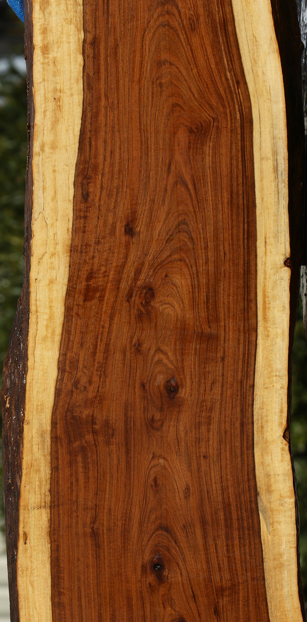 Figured Tamboti Live Edge Lumber
