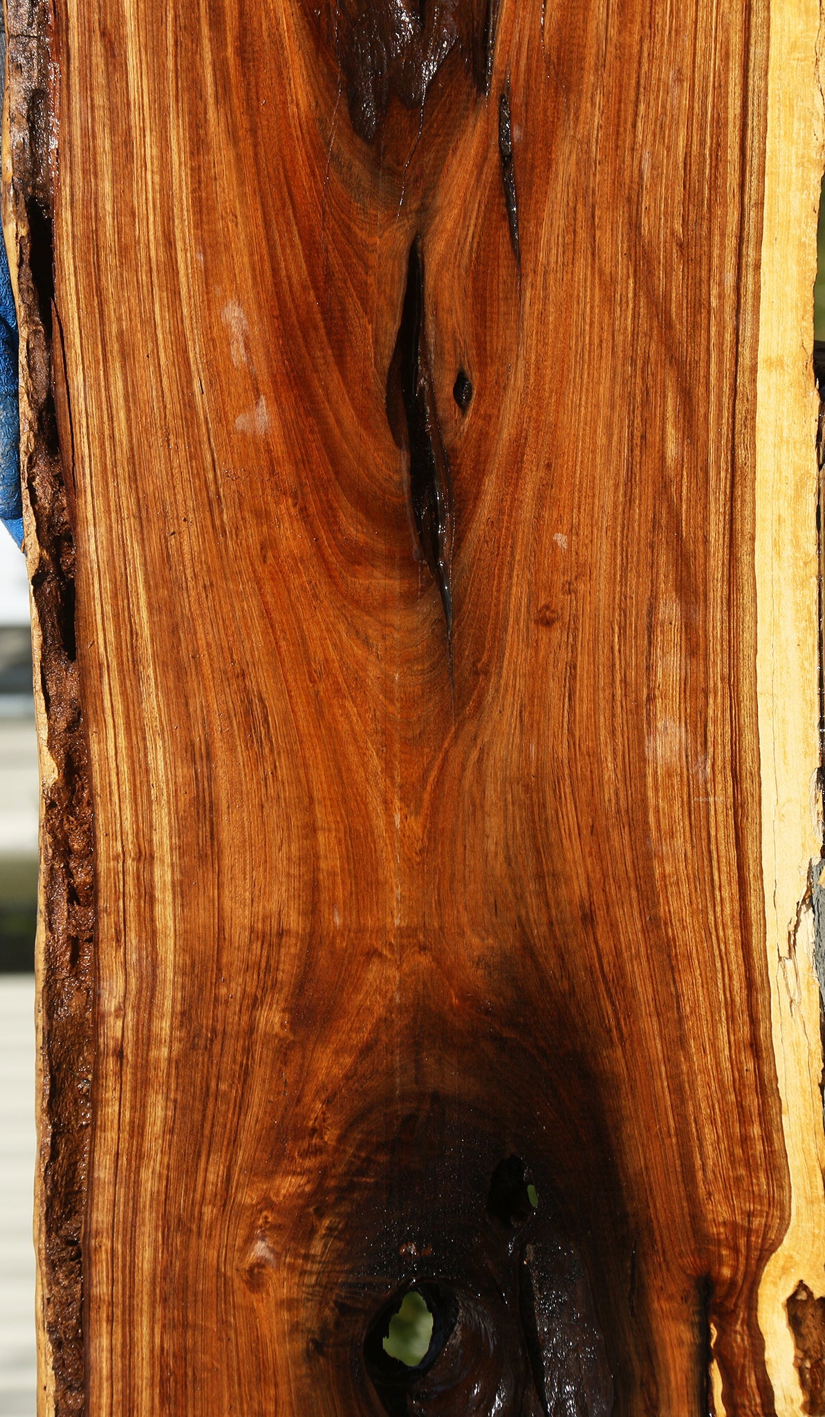 Rustic Tamboti Live Edge Lumber