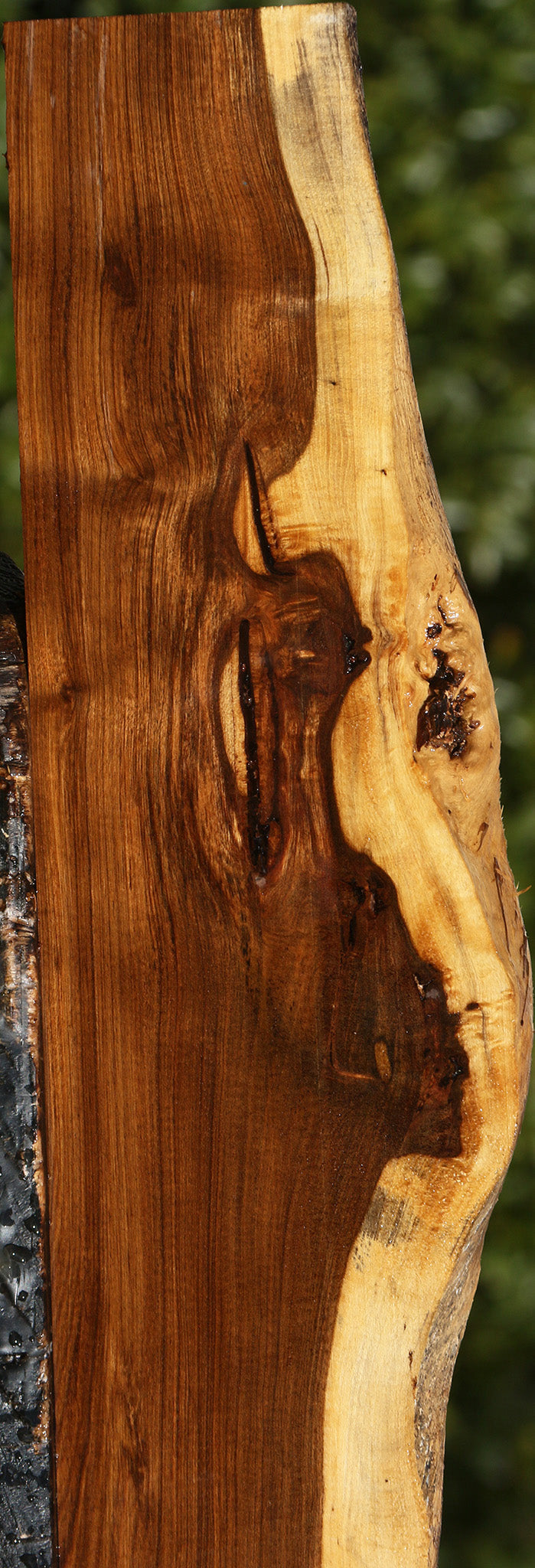 Tamboti Live Edge Lumber