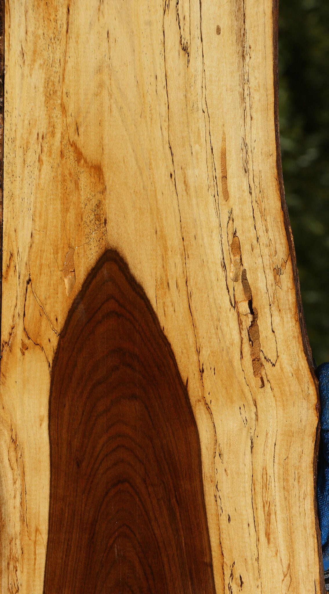Tamboti Live Edge Lumber
