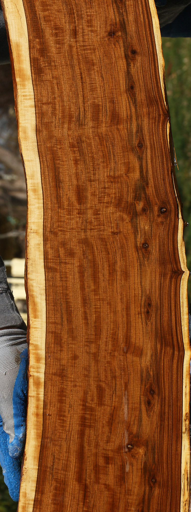 Extra Fancy Tamboti Live Edge Lumber