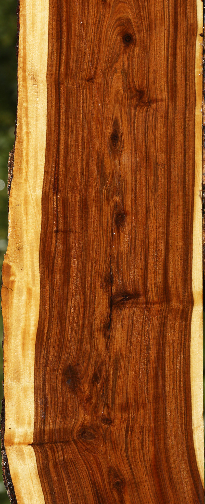 Tamboti Live Edge Lumber