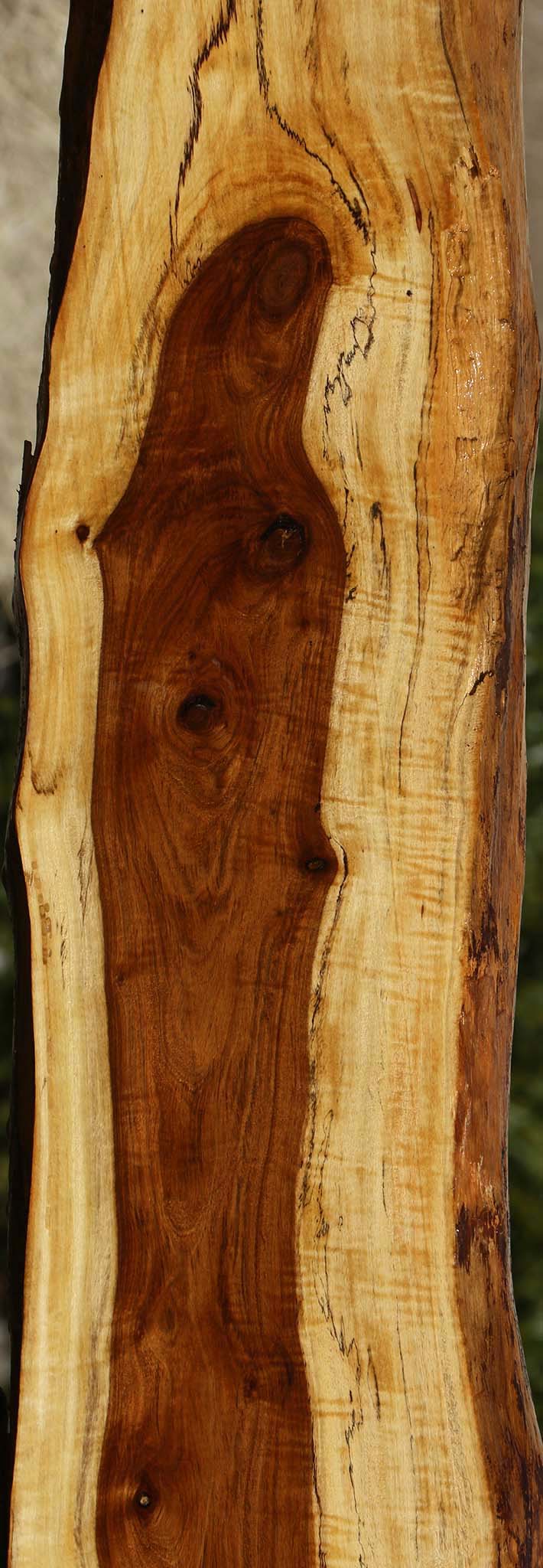 Extra Fancy Tamboti Live Edge Lumber