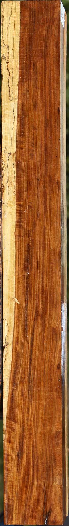 Extra Fancy Tamboti Live Edge Lumber