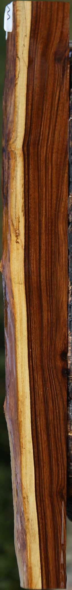 Tamboti Live Edge Lumber