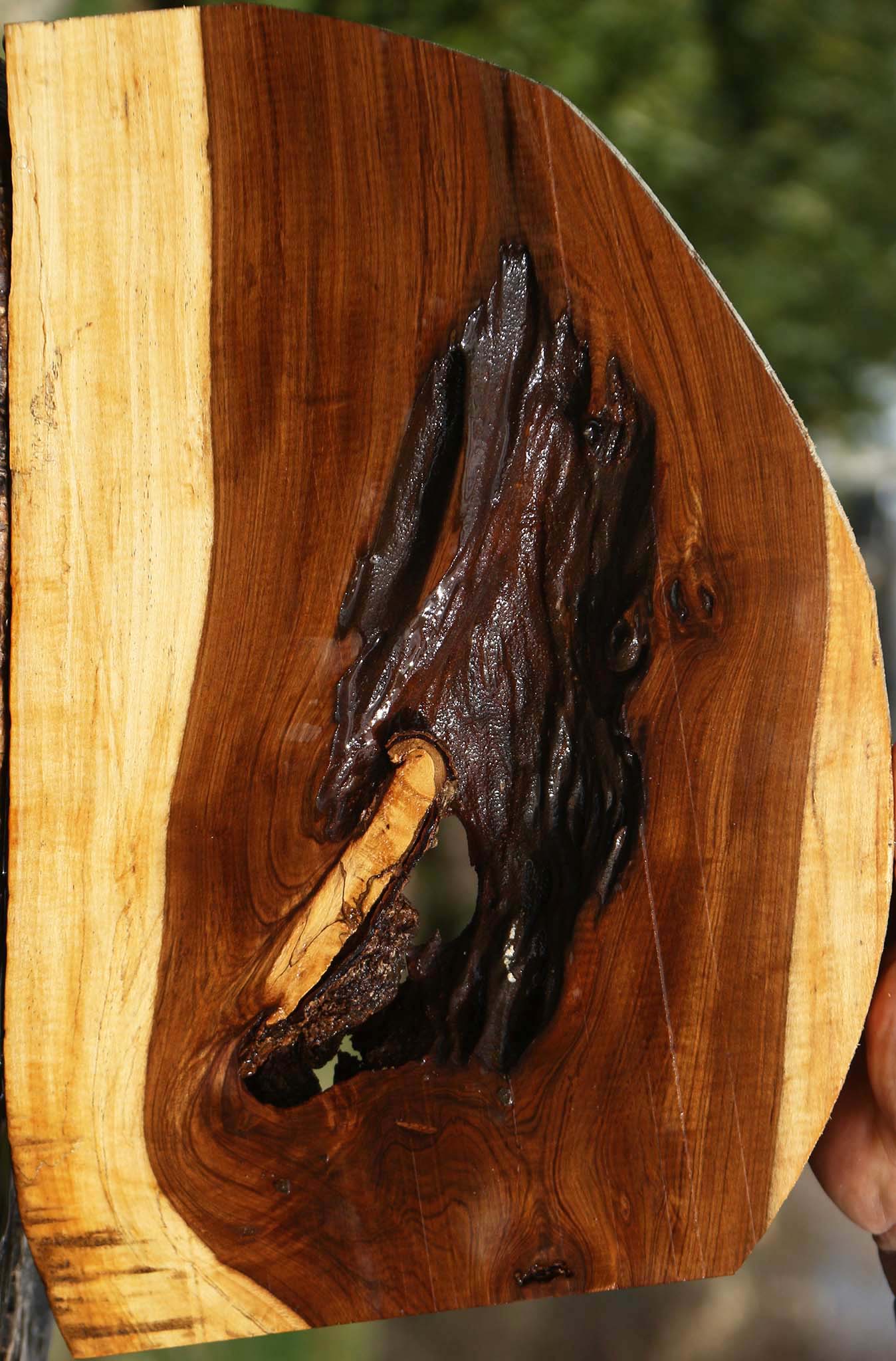 Rustic Tamboti Live Edge Lumber