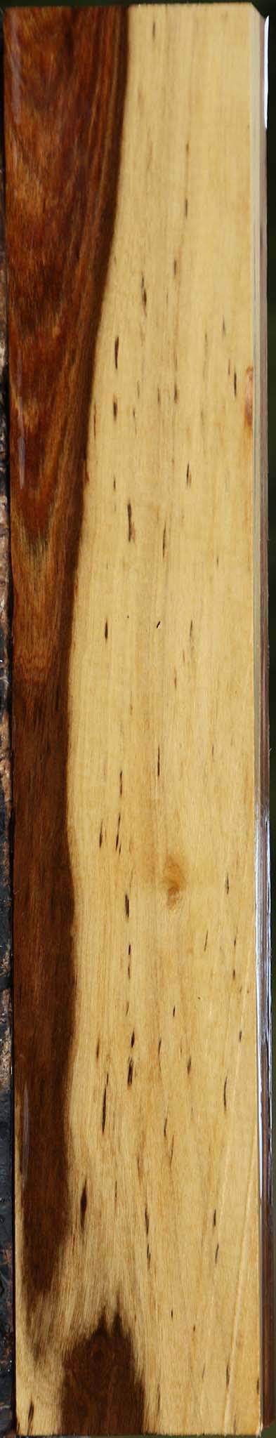 Tamboti Lumber