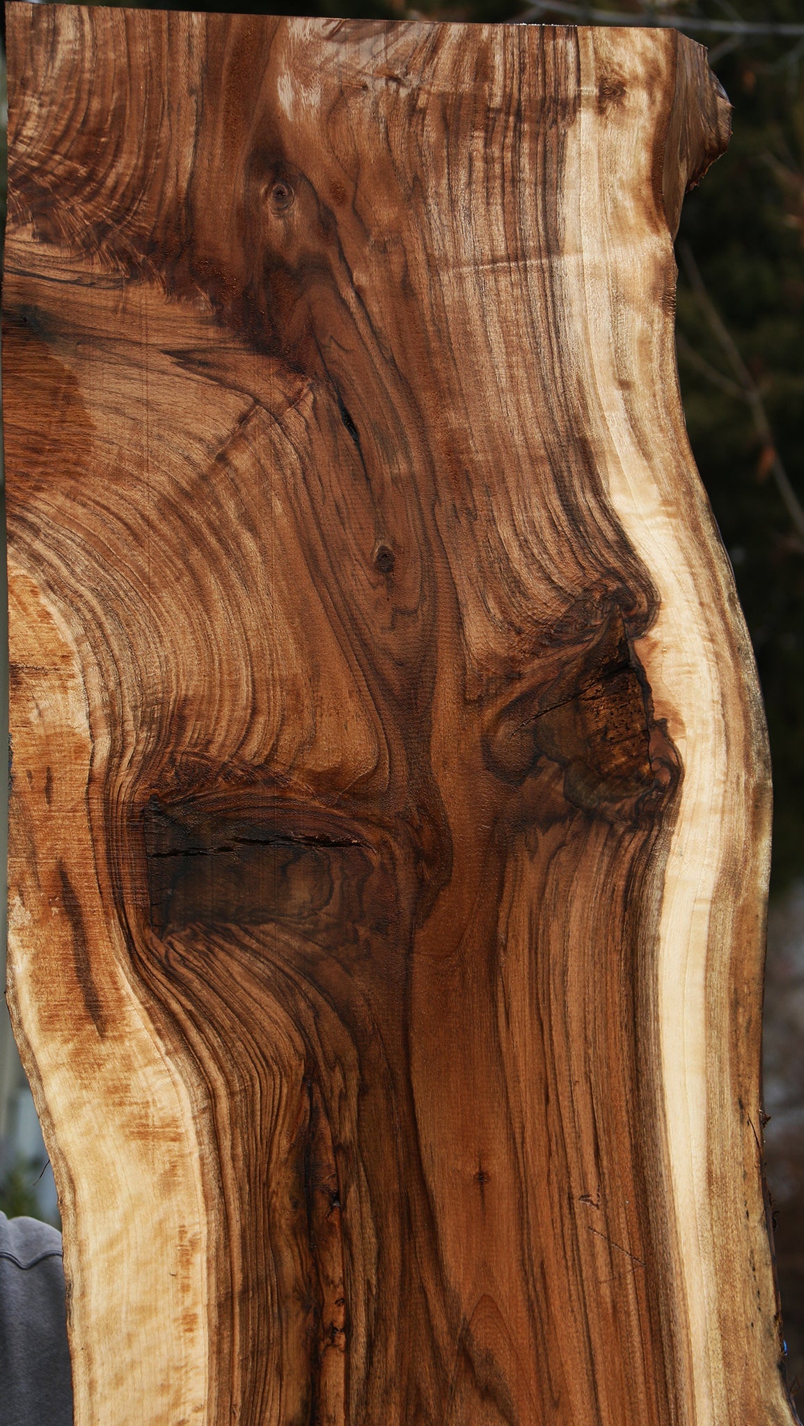 Figured English Walnut Live Edge Slab