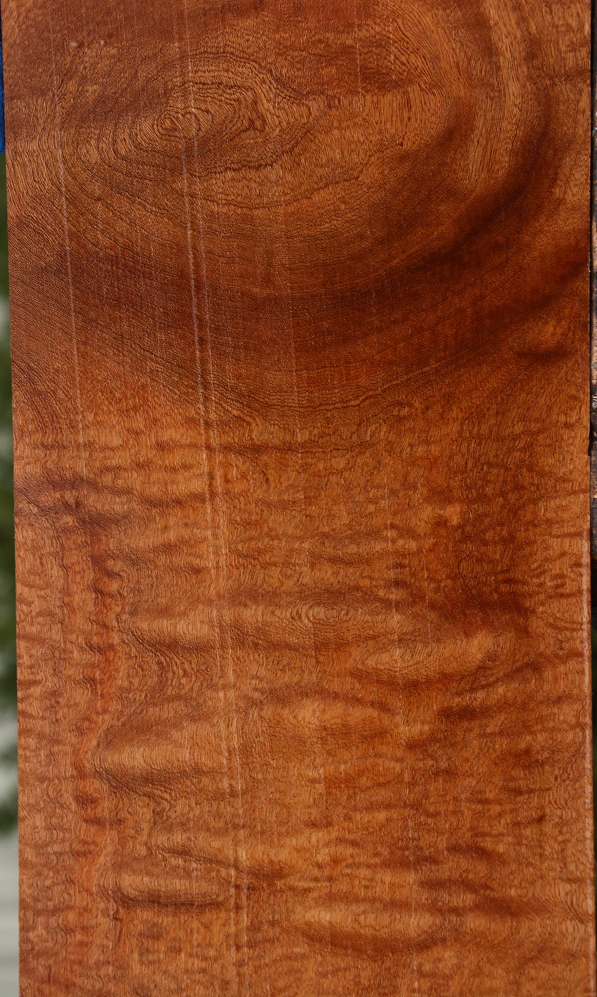 Extra Fancy Pomelle Sapele Instrument Lumber
