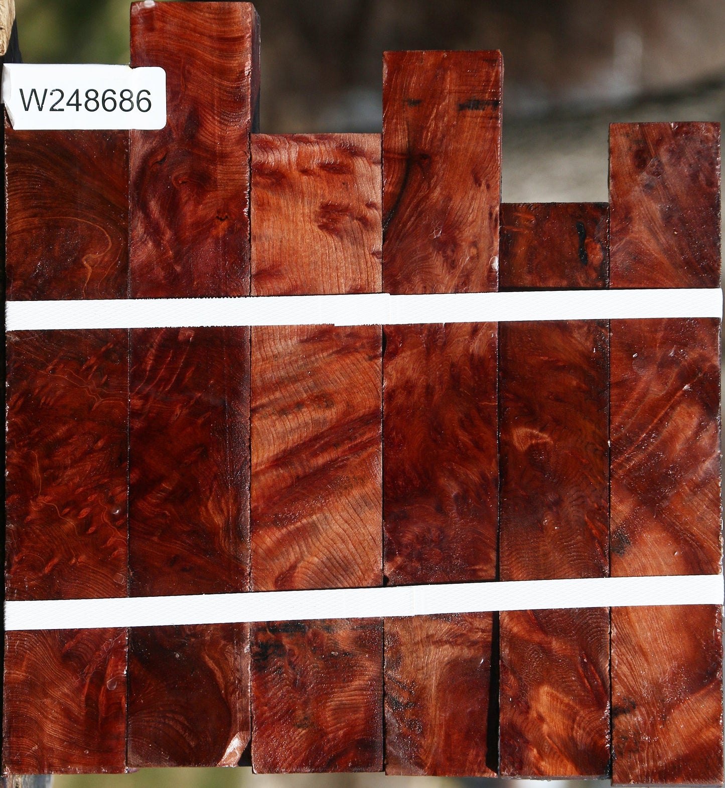 Redwood Lace Burl Turning Square 6 Pack