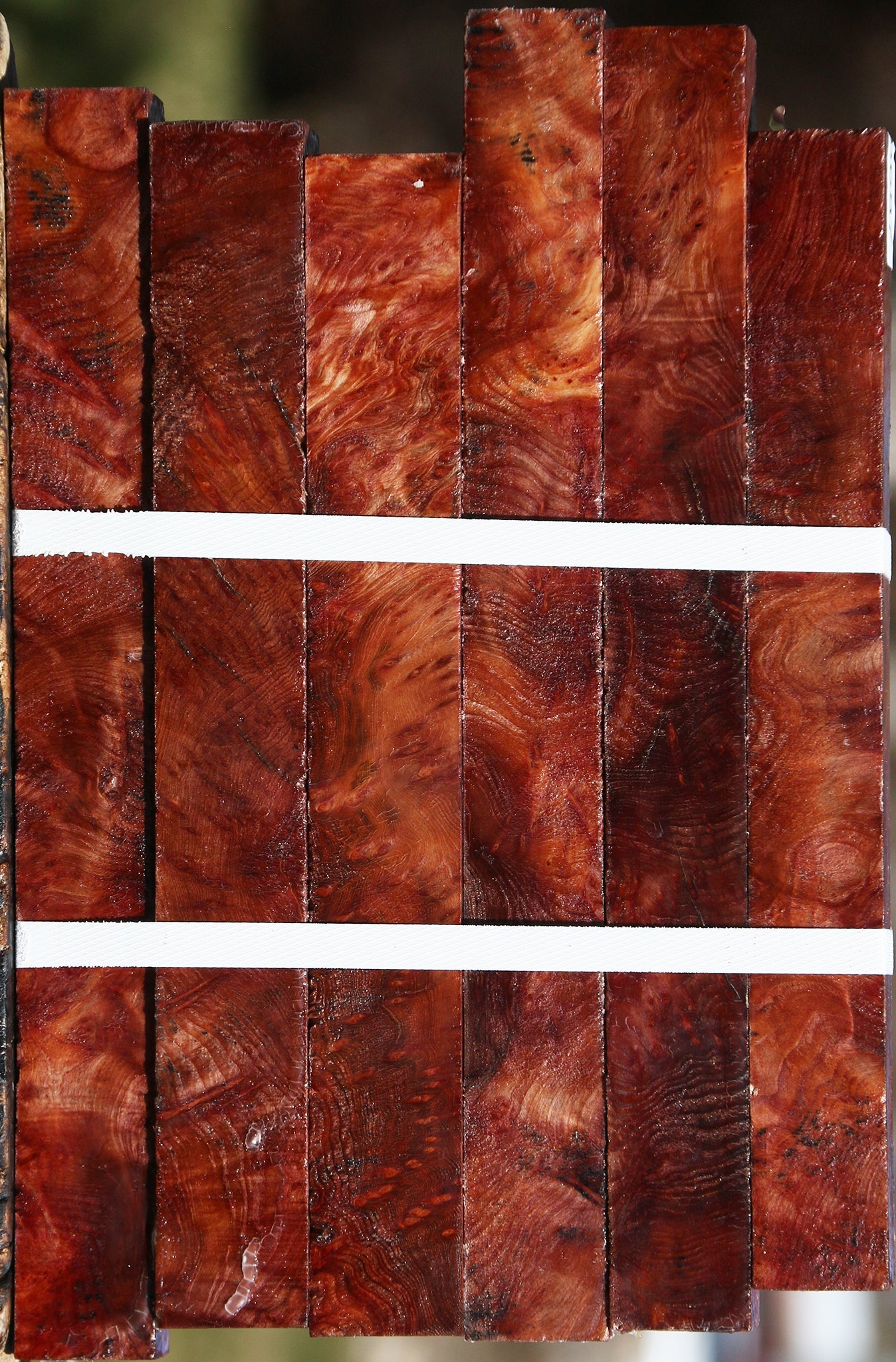 Redwood Lace Burl Turning Square 6 Pack