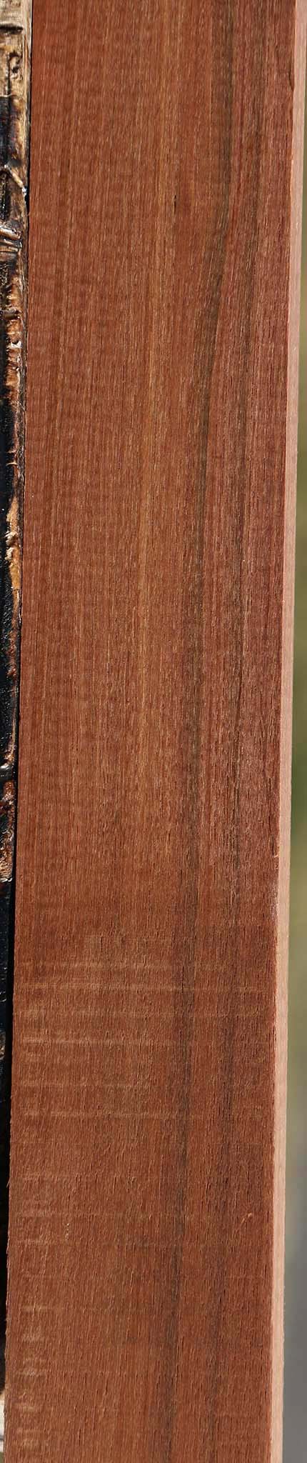 Madagascar Rosewood Lumber