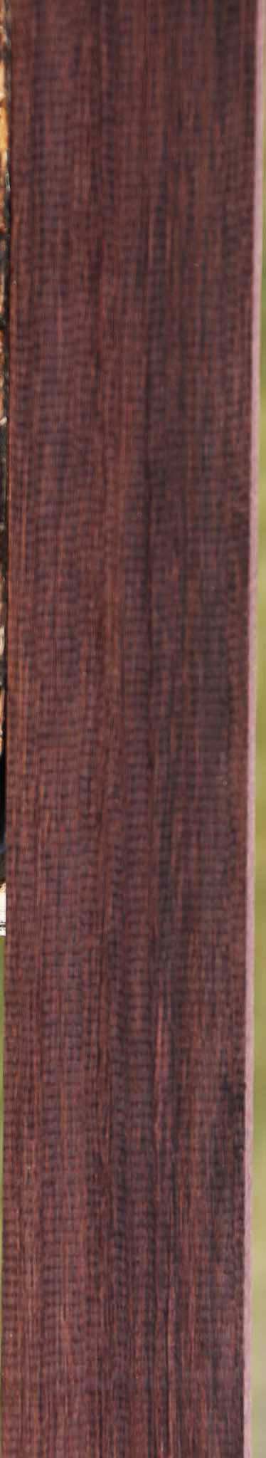 Madagascar Rosewood Micro Lumber