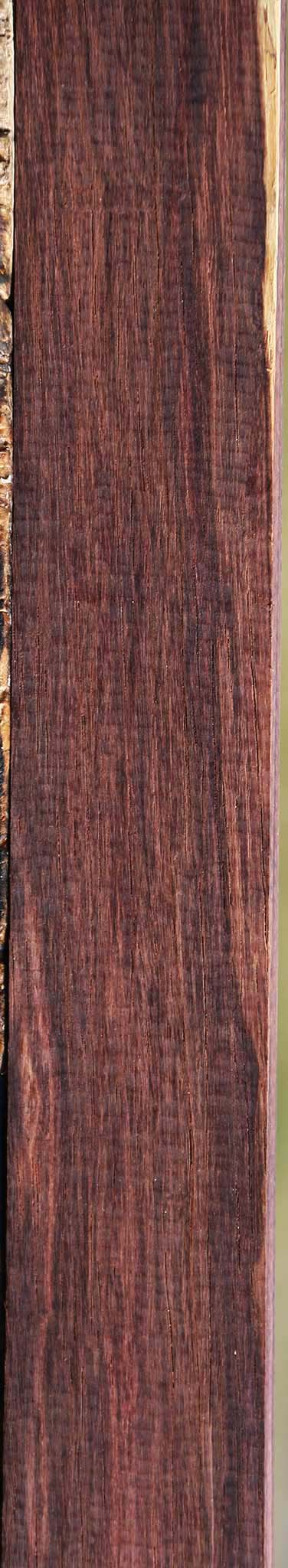 Madagascar Rosewood Micro Lumber