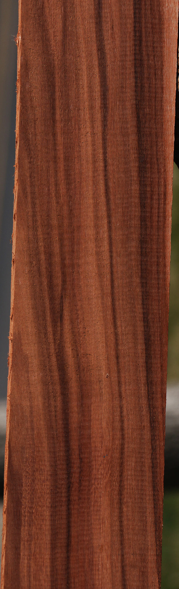 Figured Patagonian Rosewood Lumber