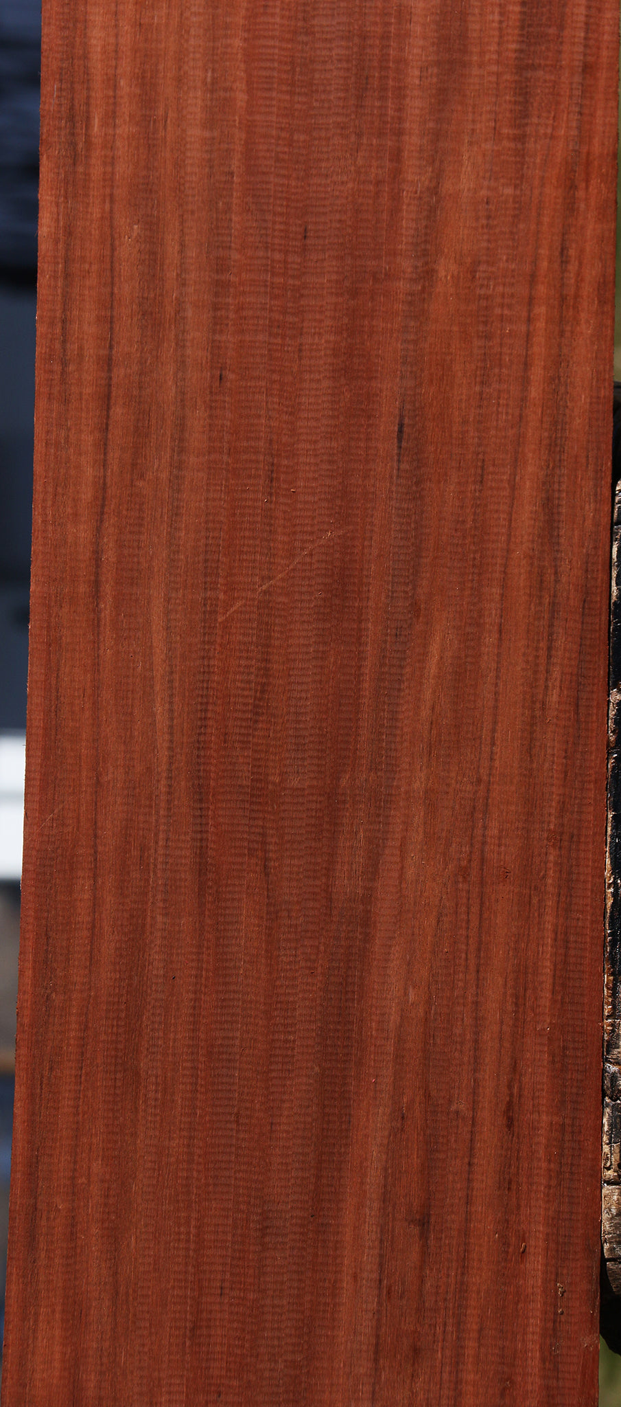 Patagonian Rosewood Lumber