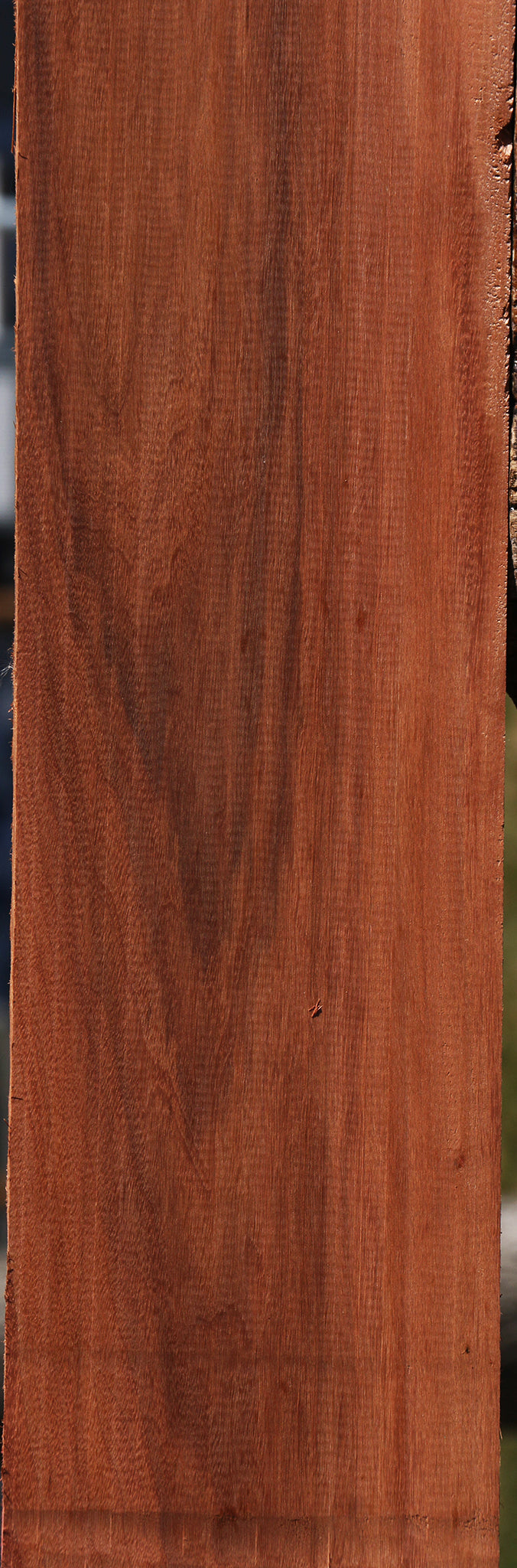 Patagonian Rosewood Lumber