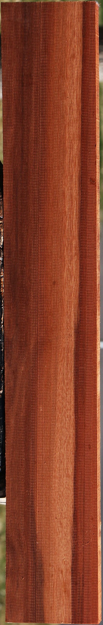 Patagonian Rosewood Lumber