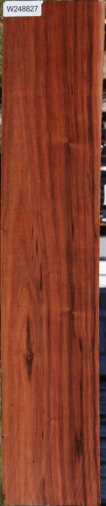 Figured Patagonian Rosewood Lumber