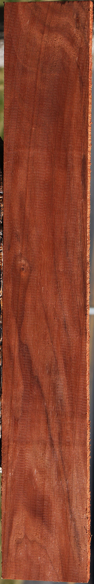 Patagonian Rosewood Lumber