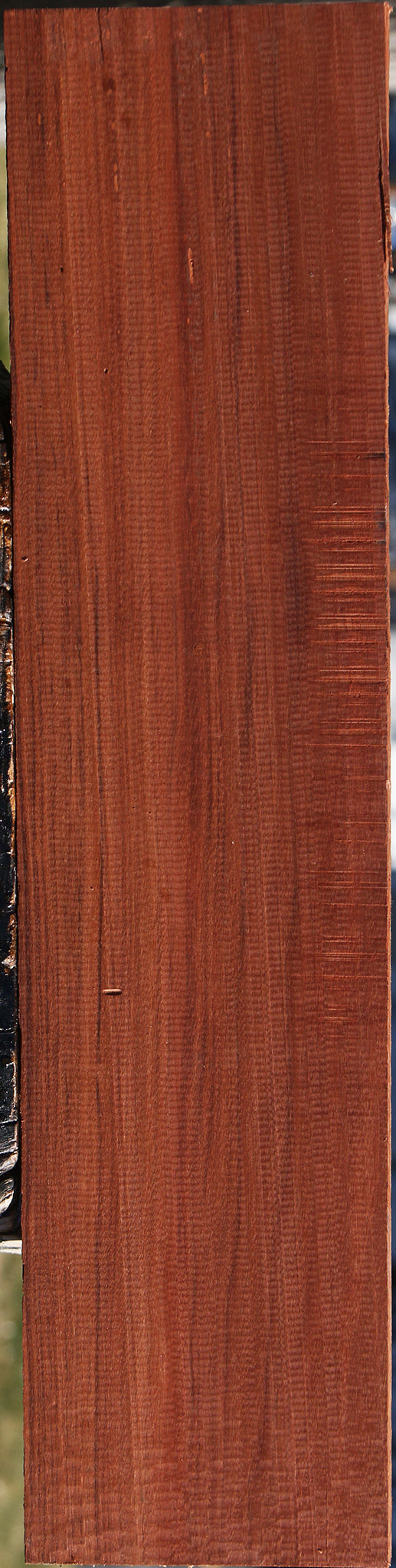 Patagonian Rosewood Lumber