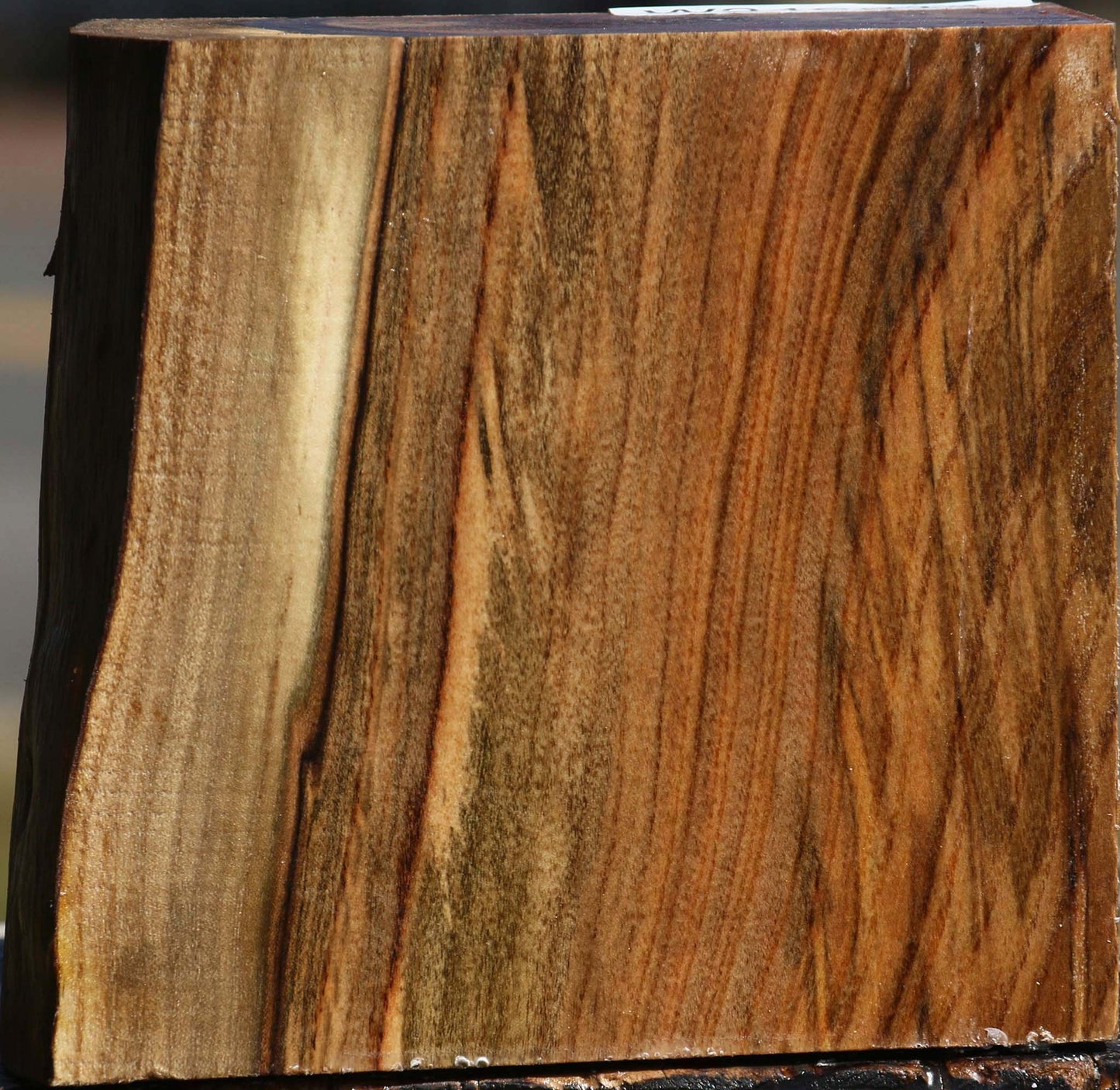Pistachio Live Edge Bowl Blank
