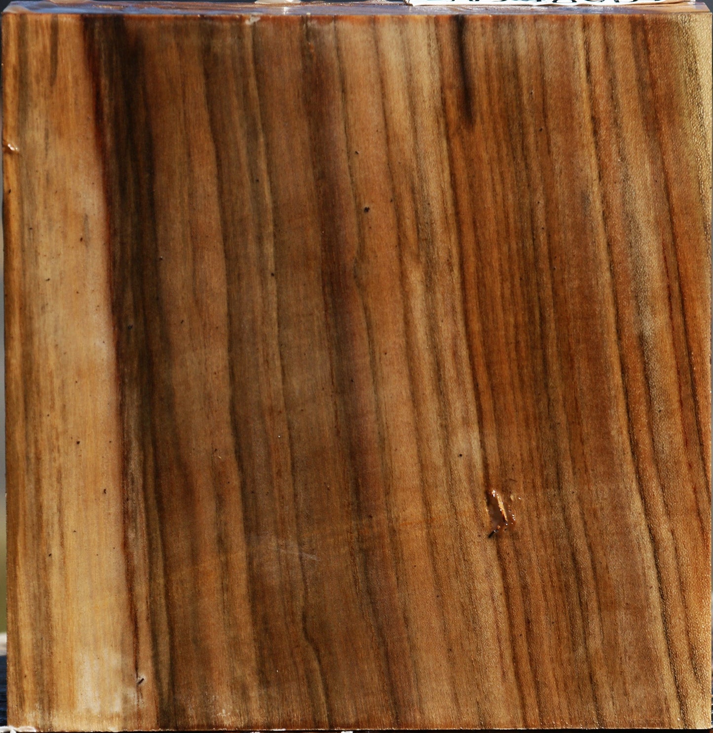 Grafted Pistachio Bowl Blank