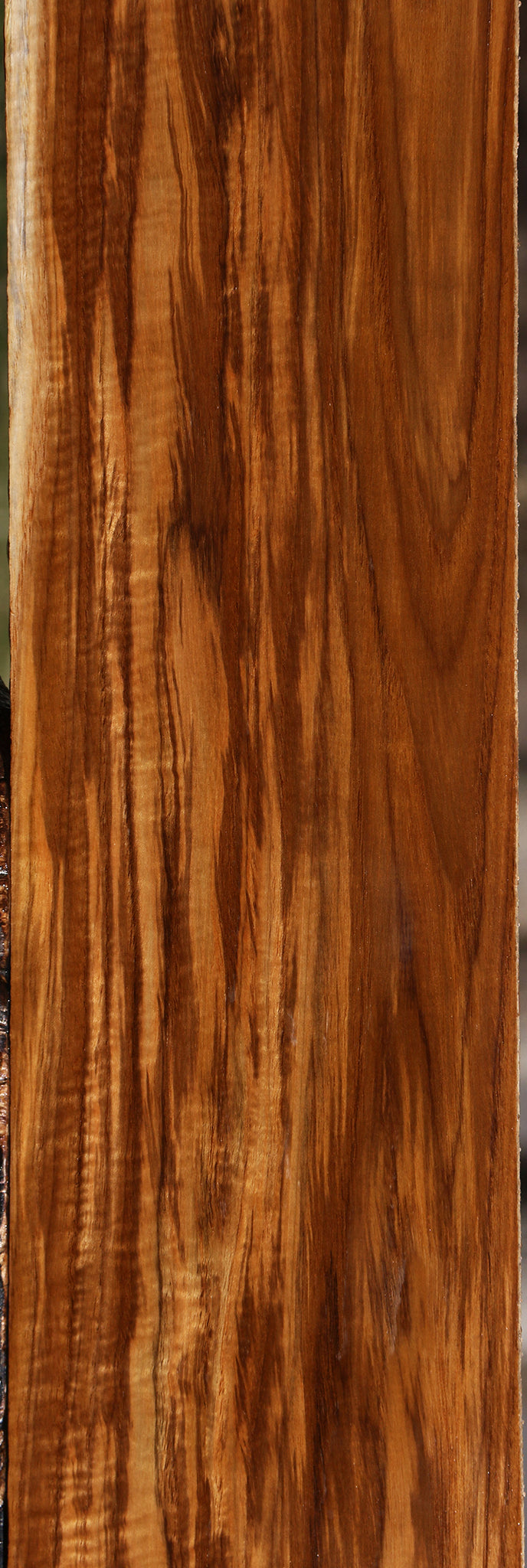 Extra Fancy Fiddleback Burma Teak Lumber