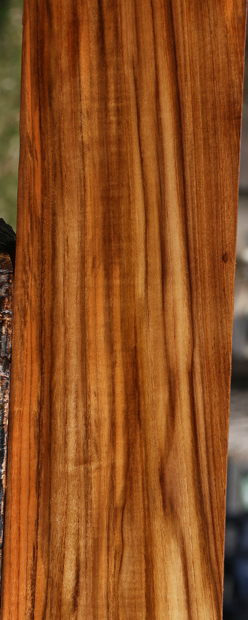 Extra Fancy Fiddleback Burma Teak Lumber