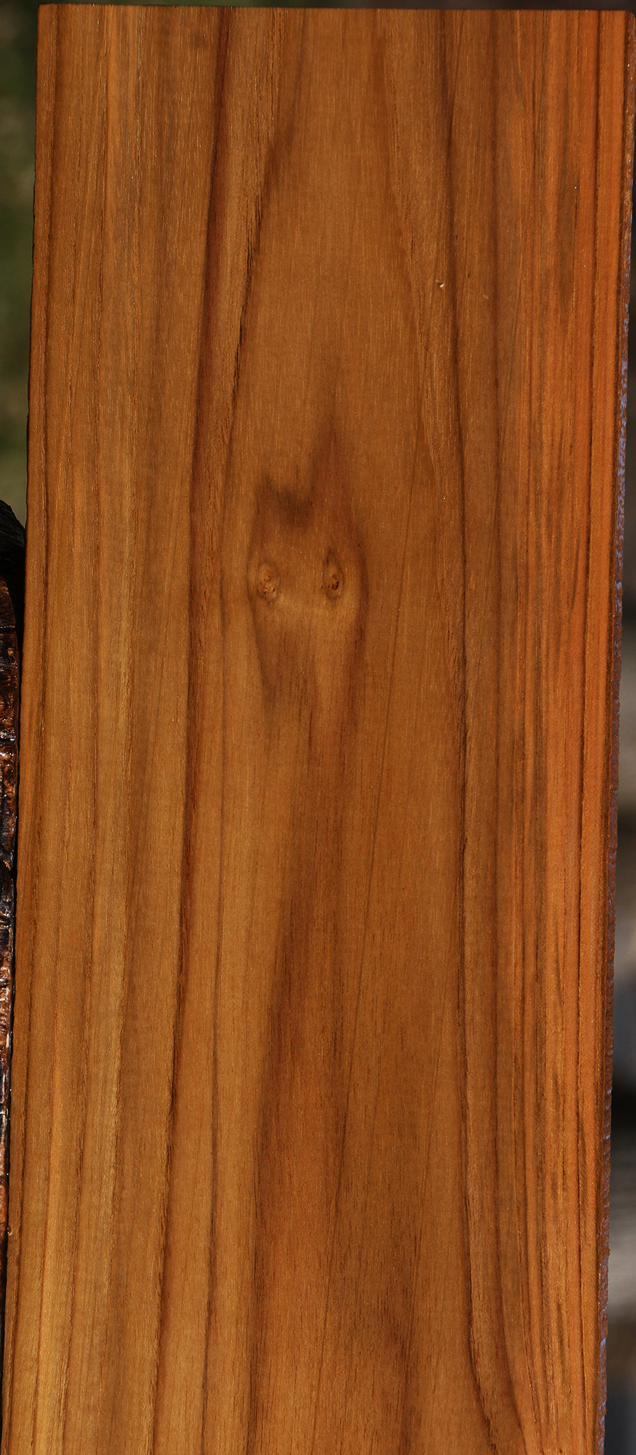 Burma Teak Lumber