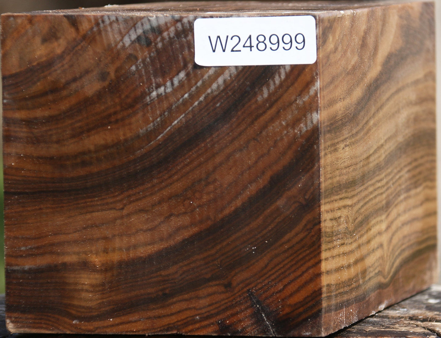 Claro Walnut Vessel Blank