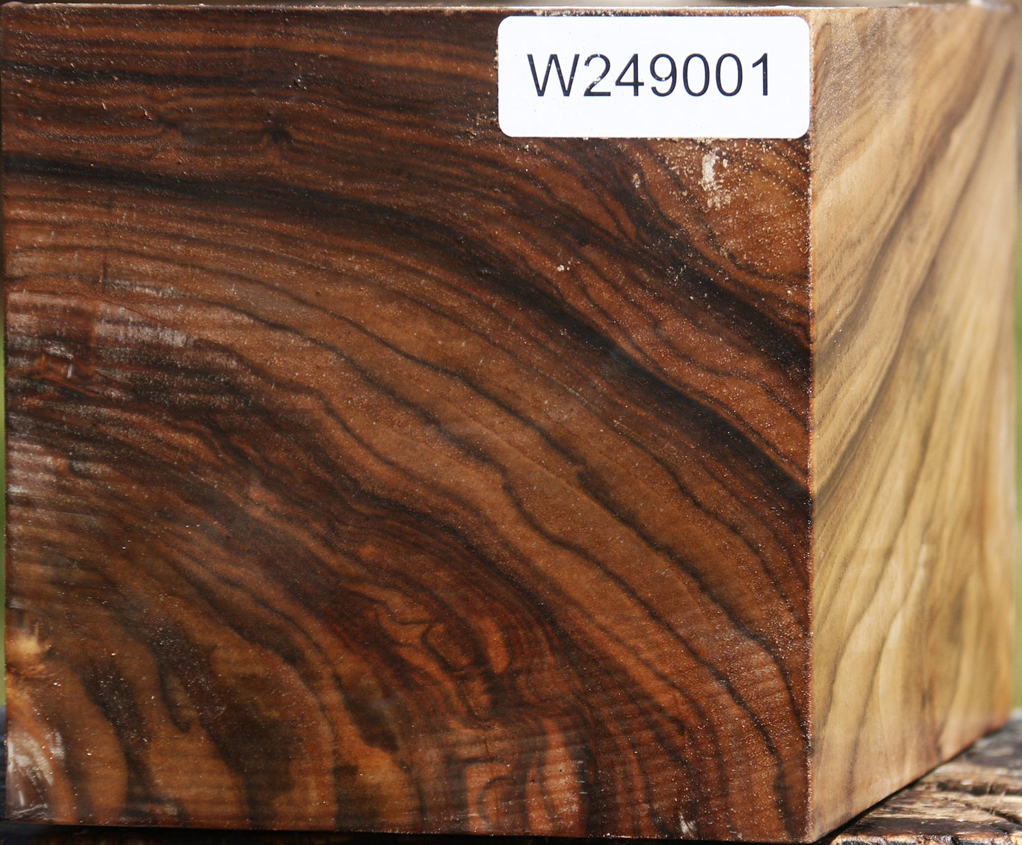 Claro Walnut Vessel Blank