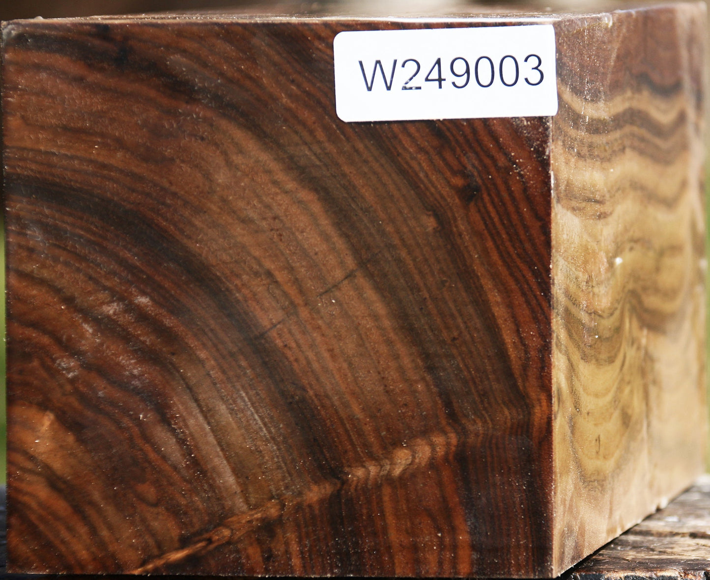 Claro Walnut Vessel Blank