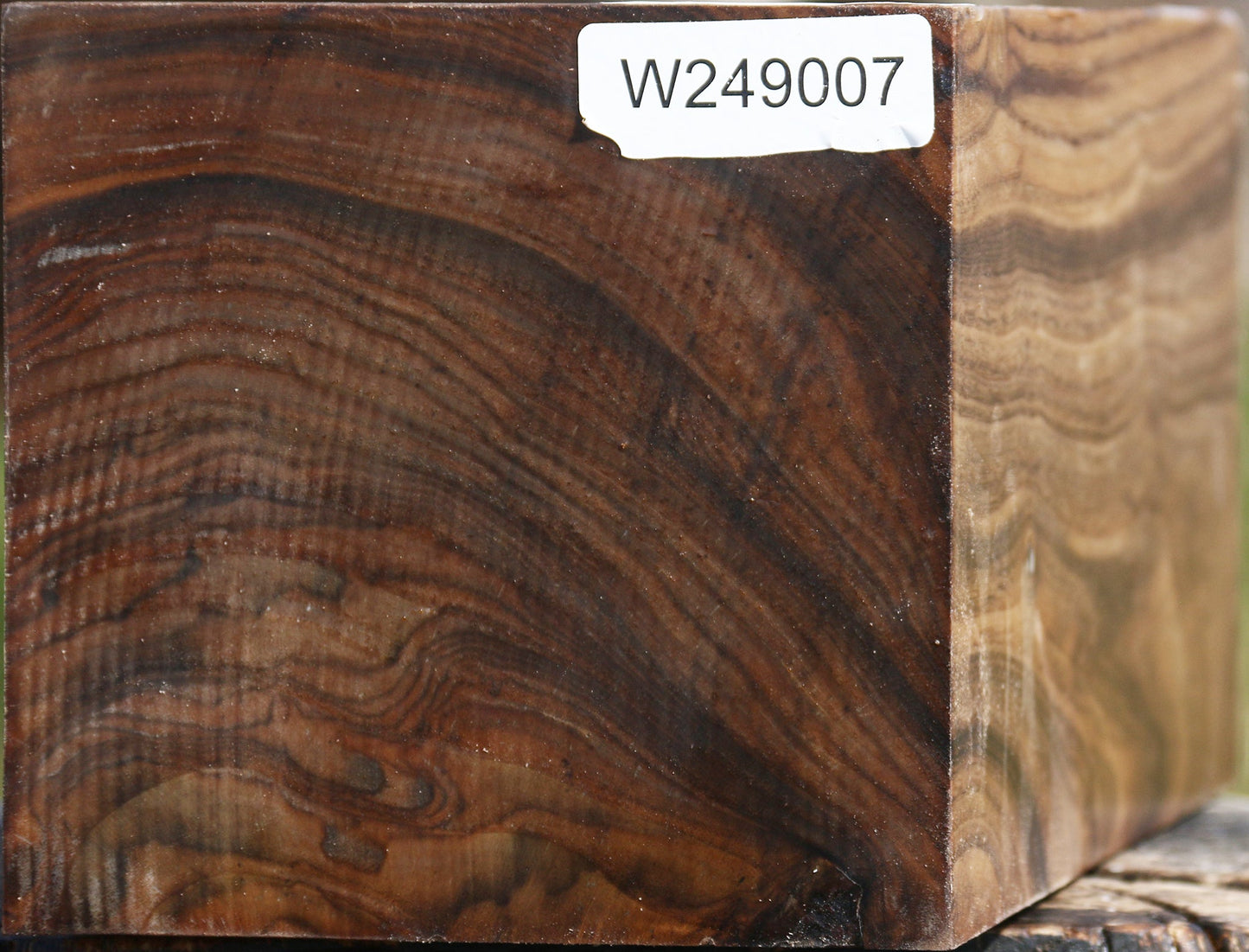 Figured Claro Walnut Vessel Blank