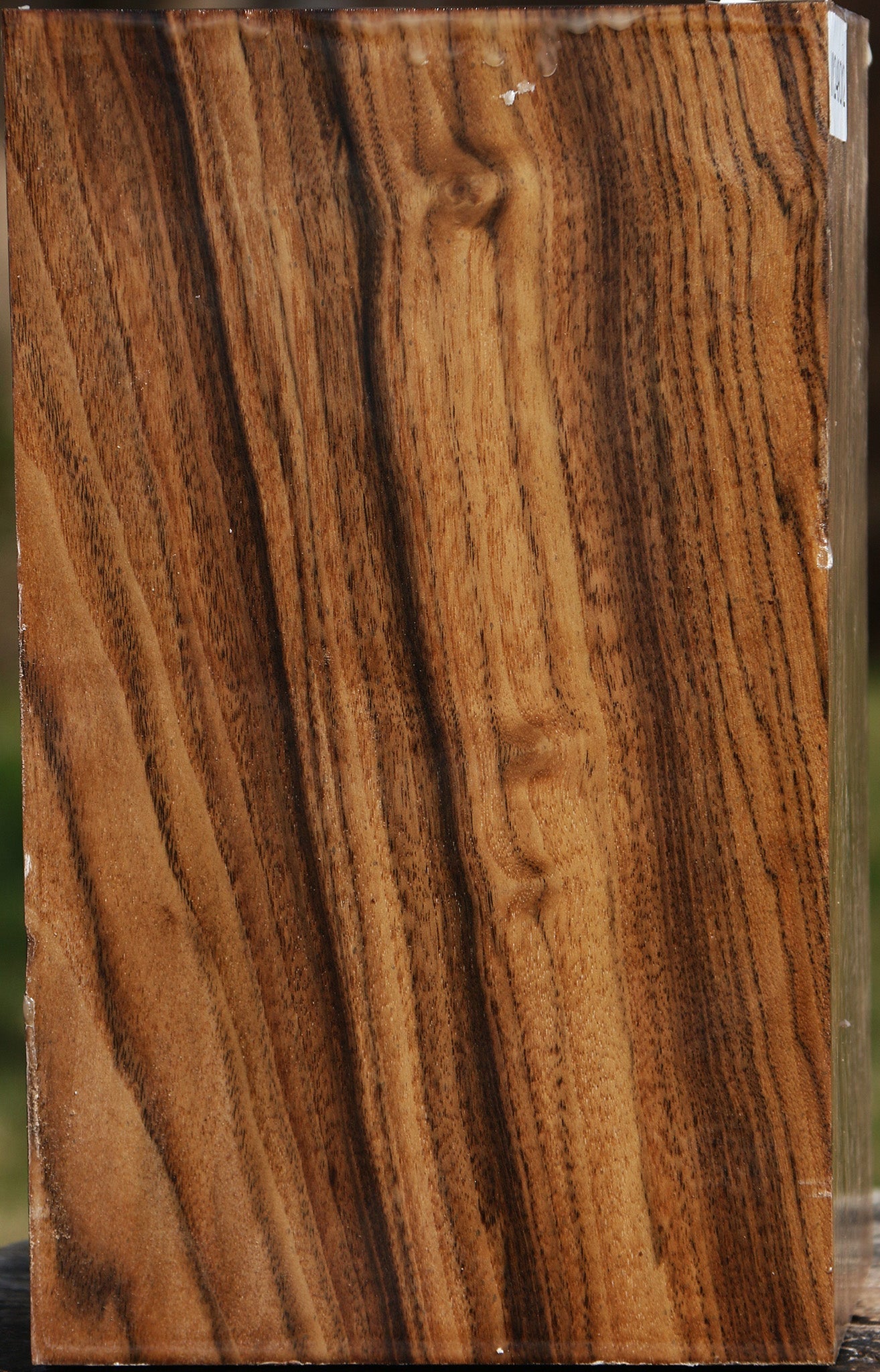 Claro Walnut Vessel Blank
