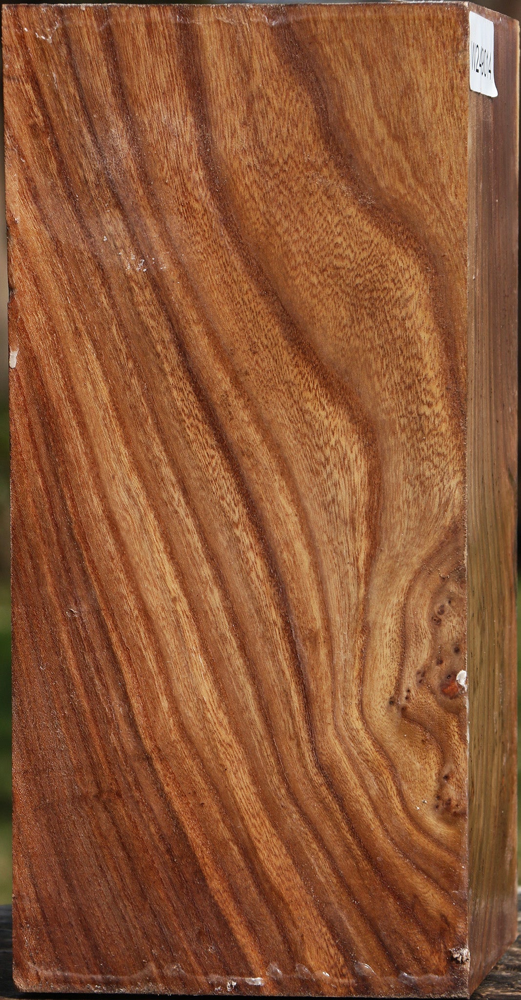 Figured Elm Vessel Blank