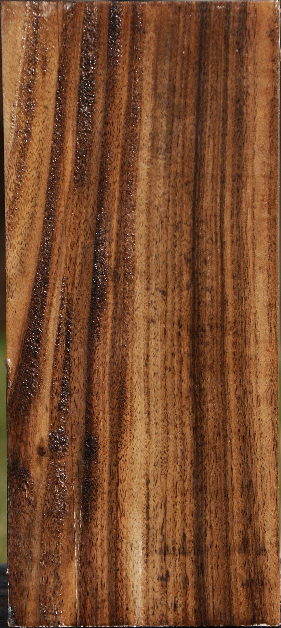 Claro Walnut Vessel Blank