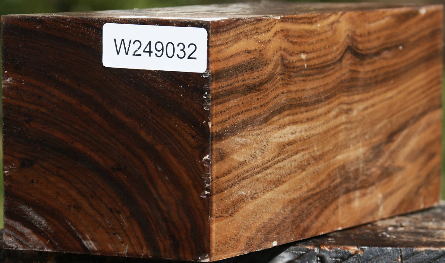 Claro Walnut Vessel Blank