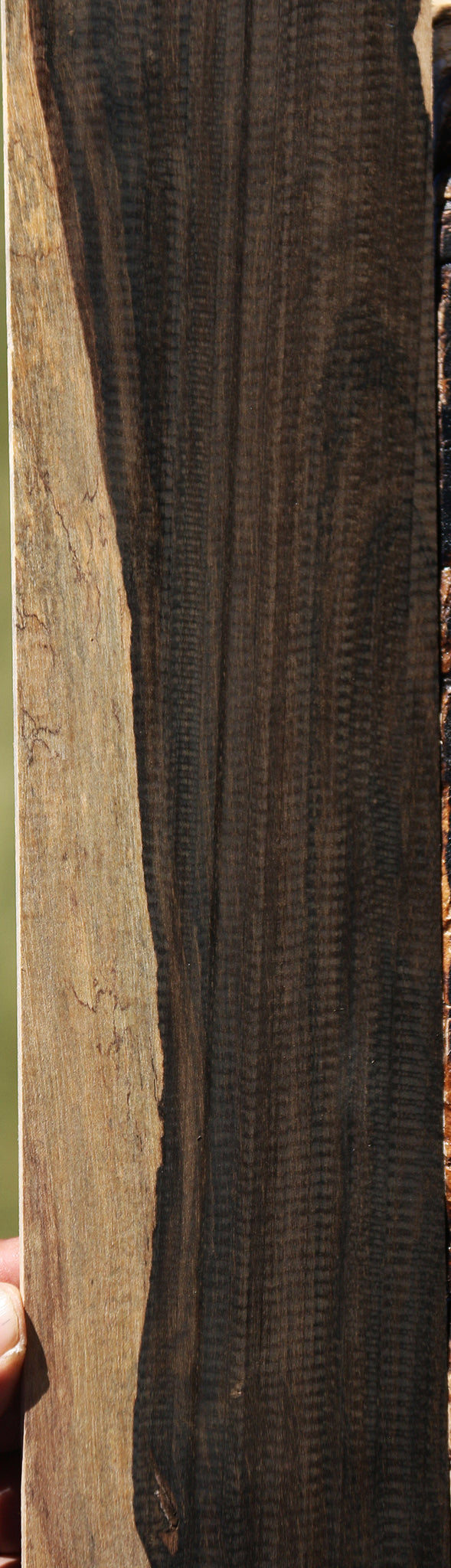 Ziricote Micro Lumber