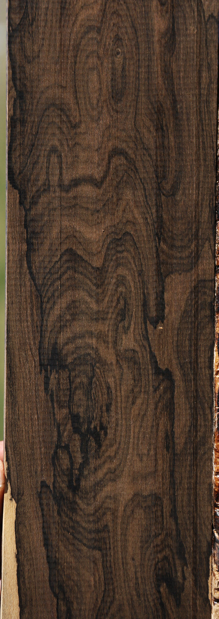 Exhibition Ziricote Micro Lumber
