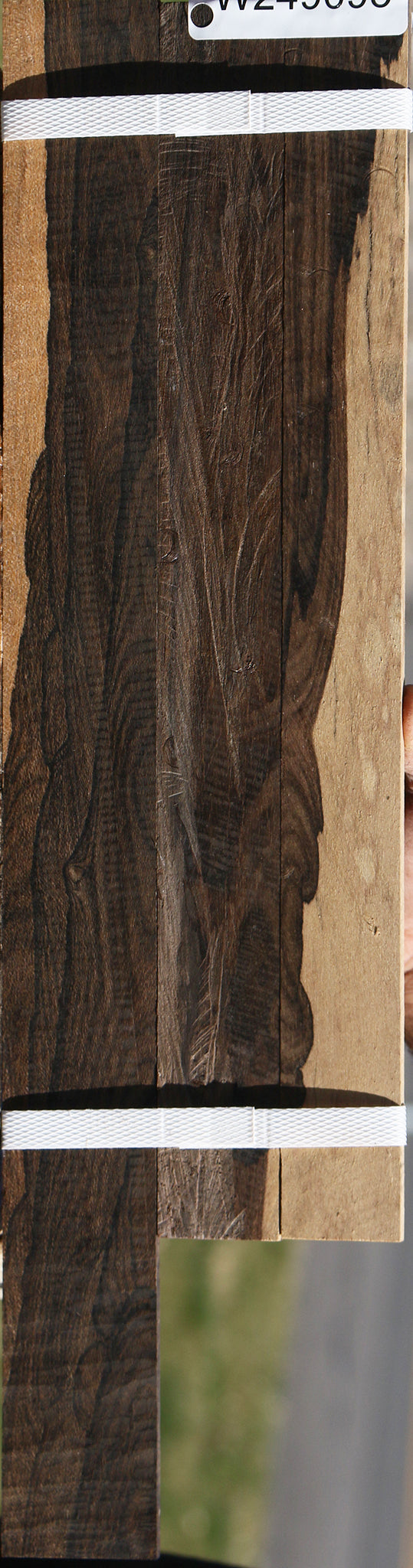 Figured Ziricote Micro Lumber 3 Pack