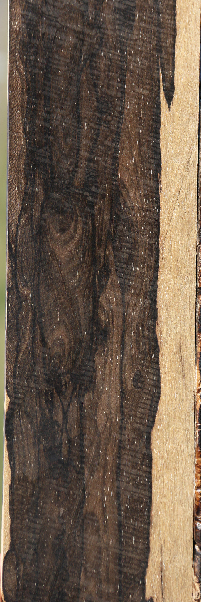 Ziricote Micro Lumber